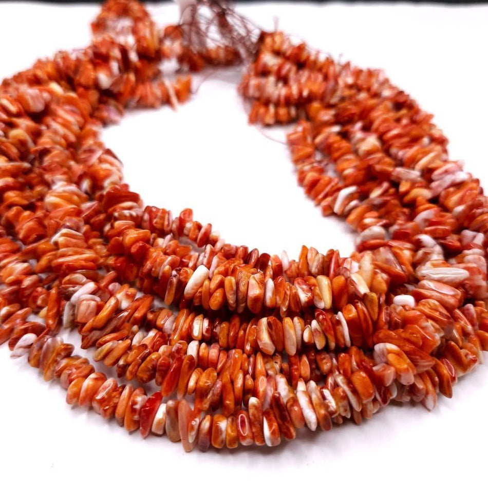 Spiny Oyster (Premium Quality)
Chip (dark orange) 16" strand