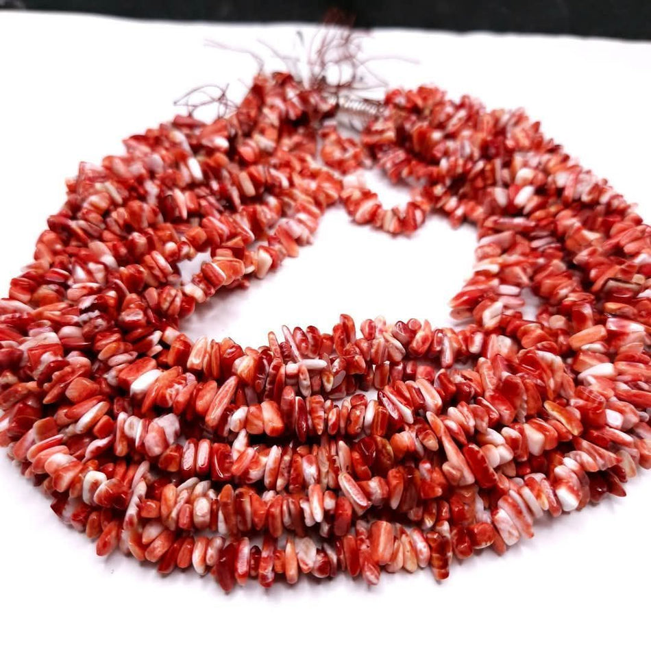 Spiny Oyster (Premium Quality)
Chip (red) 16" strand