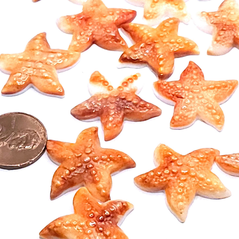 Spiny Oyster
Starfish Cabachon, 25x25mm