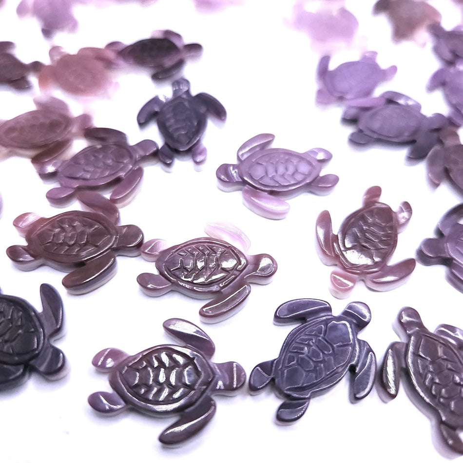 Wampum Shell (Premium Quality)
Turtles
16x20mm