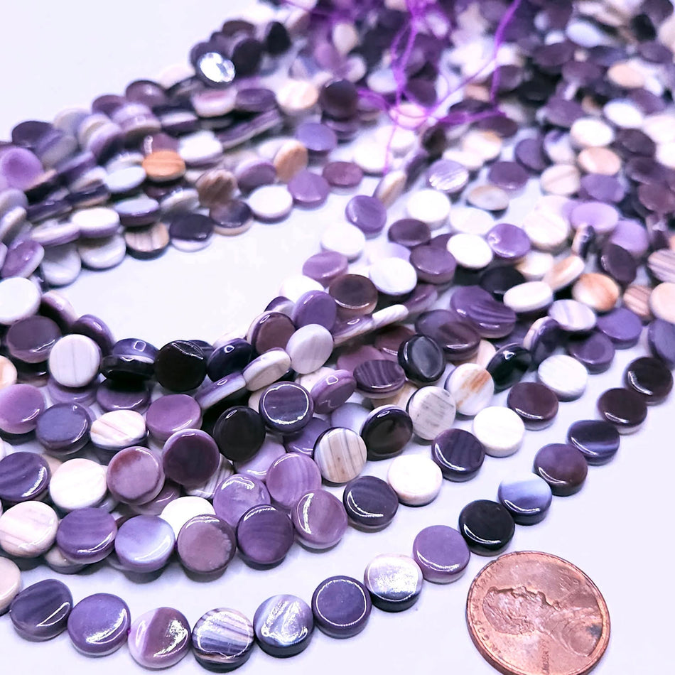 Wampum shell (Premium Quality)
8mm coin, 16" strand