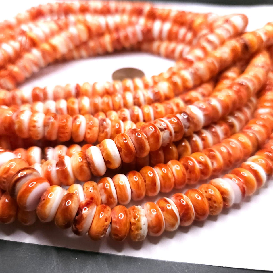 Orange Spiny Oyster (Premium Quality)
10mm 16" strand