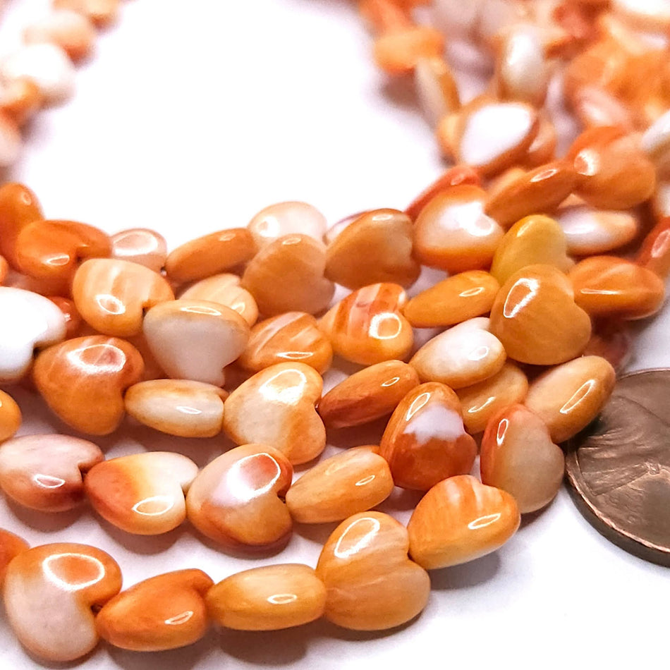 Spiny Oyster (orange)
Heart beads 8mm, 16" strand