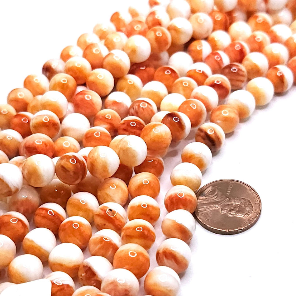 Spiny Oyster (Premium Quality)
8mm round, 16" strand